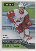 Filip Zadina #/999