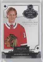 Adam Boqvist #/249