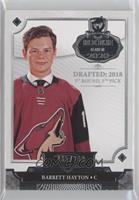 Barrett Hayton #/249