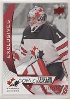 Taylor Gauthier #/250