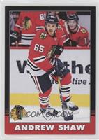 Andrew Shaw #/100