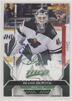 Devan Dubnyk