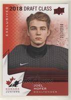 2018 Draft Class - Joel Hofer #/250