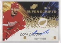 Filip Hronek #/25