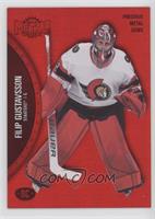 Rookies - Filip Gustavsson #/100