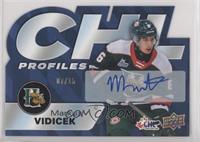 Markus Vidicek #/15