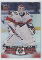 Sergei Bobrovsky