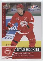 Star Rookies - Andrew Gibson #/100
