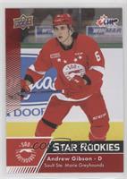 Star Rookies - Andrew Gibson