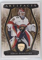 Goalies - Sergei Bobrovsky