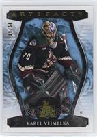 Goalies - Karel Vejmelka #/50