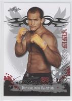 Junior Dos Santos