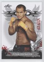 Junior Dos Santos