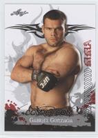 Gabriel Gonzaga