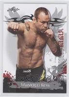 Wanderlei Silva