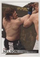 Roy Nelson #/288