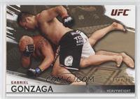 Gabriel Gonzaga #/288