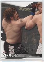 Roy Nelson #/188