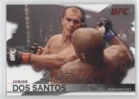 Junior Dos Santos