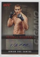 Junior Dos Santos #/25