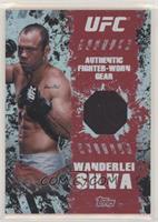 Wanderlei 