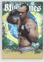 Wanderlei Silva