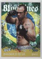 Wanderlei Silva