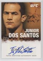 Junior Dos Santos