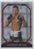 Anthony Pettis #/388