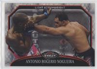 Antonio Rogerio Nogueira #/388