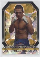 Jake Ellenberger