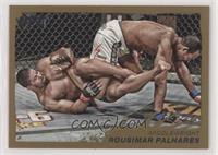 Rousimar Palhares