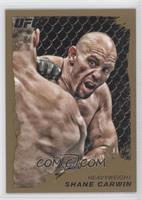 Shane Carwin