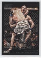 Brian Ebersole #/88