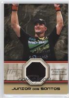 Junior Dos Santos #/88