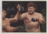 Roy Nelson