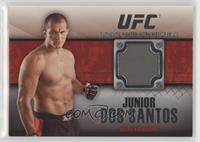 Junior Dos Santos