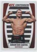 Junior Dos Santos