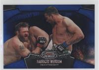 Fabricio Werdum #/188