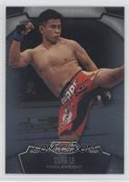 Cung Le