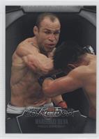 Wanderlei Silva