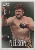 Roy Nelson #/88