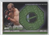 Junior Dos Santos #/88