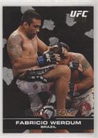 Fabricio Werdum #/25