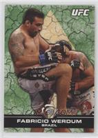 Fabricio Werdum #/188