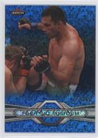 Fabricio Werdum #/188