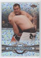 Gabriel Gonzaga