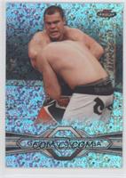 Gabriel Gonzaga