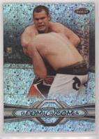 Gabriel Gonzaga