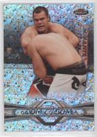 Gabriel Gonzaga